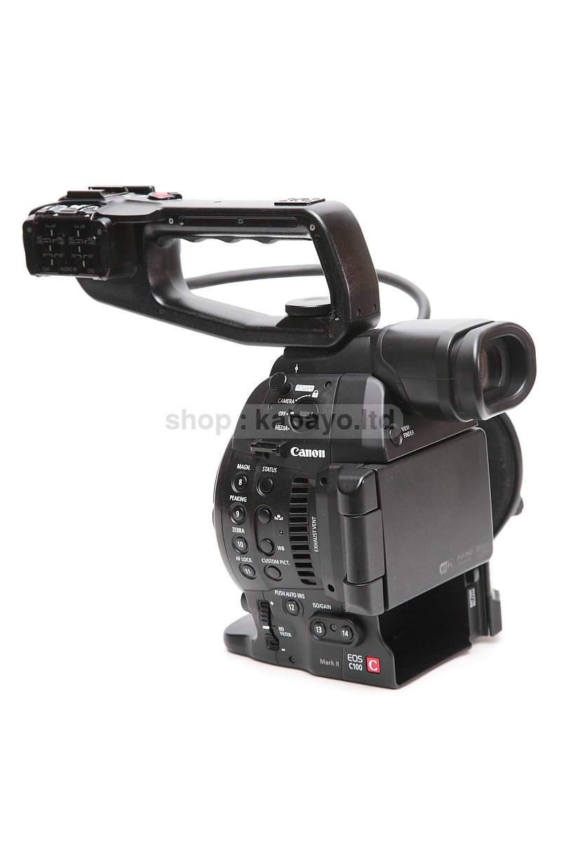 Canon EOS C100 Mark II – photo 14