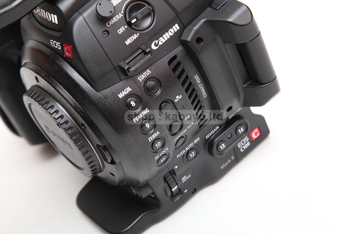 Canon EOS C100 Mark II – photo 23