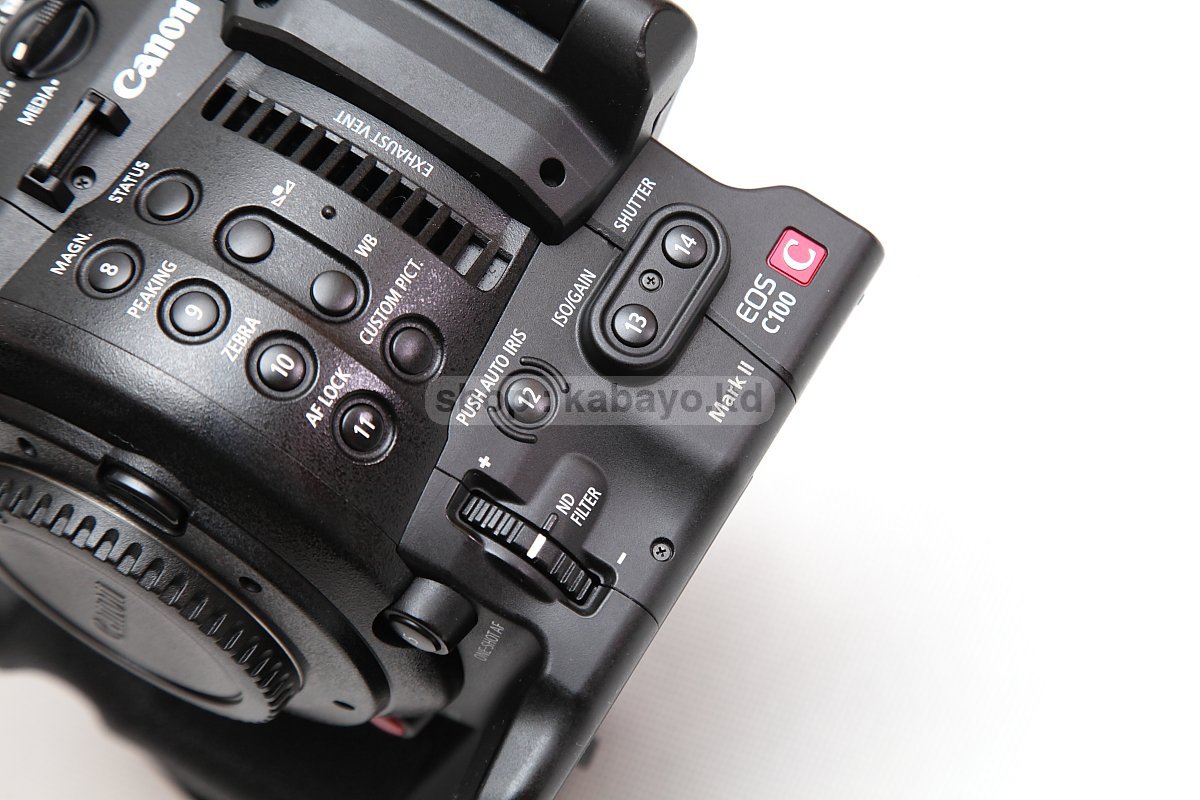 Canon EOS C100 Mark II – photo 24