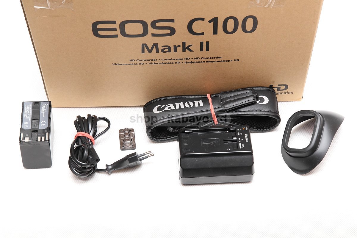 Canon EOS C100 Mark II – photo 2