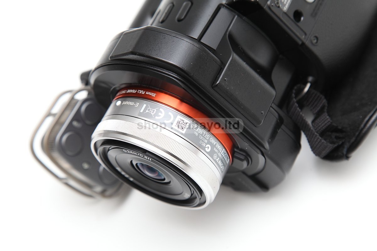 Sony NEX-VG900E + Sony SEL16F28 – photo 23