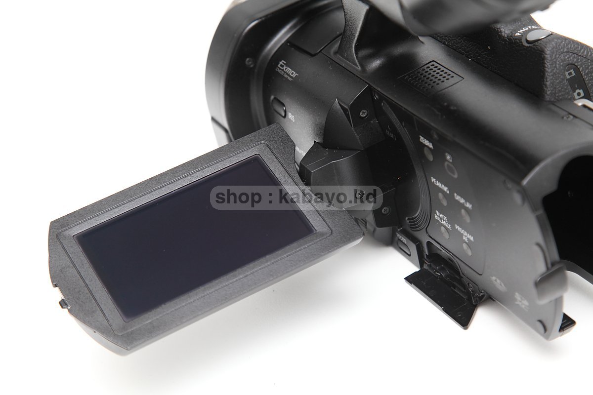 Sony NEX-VG900E + Sony SEL16F28 – photo 30