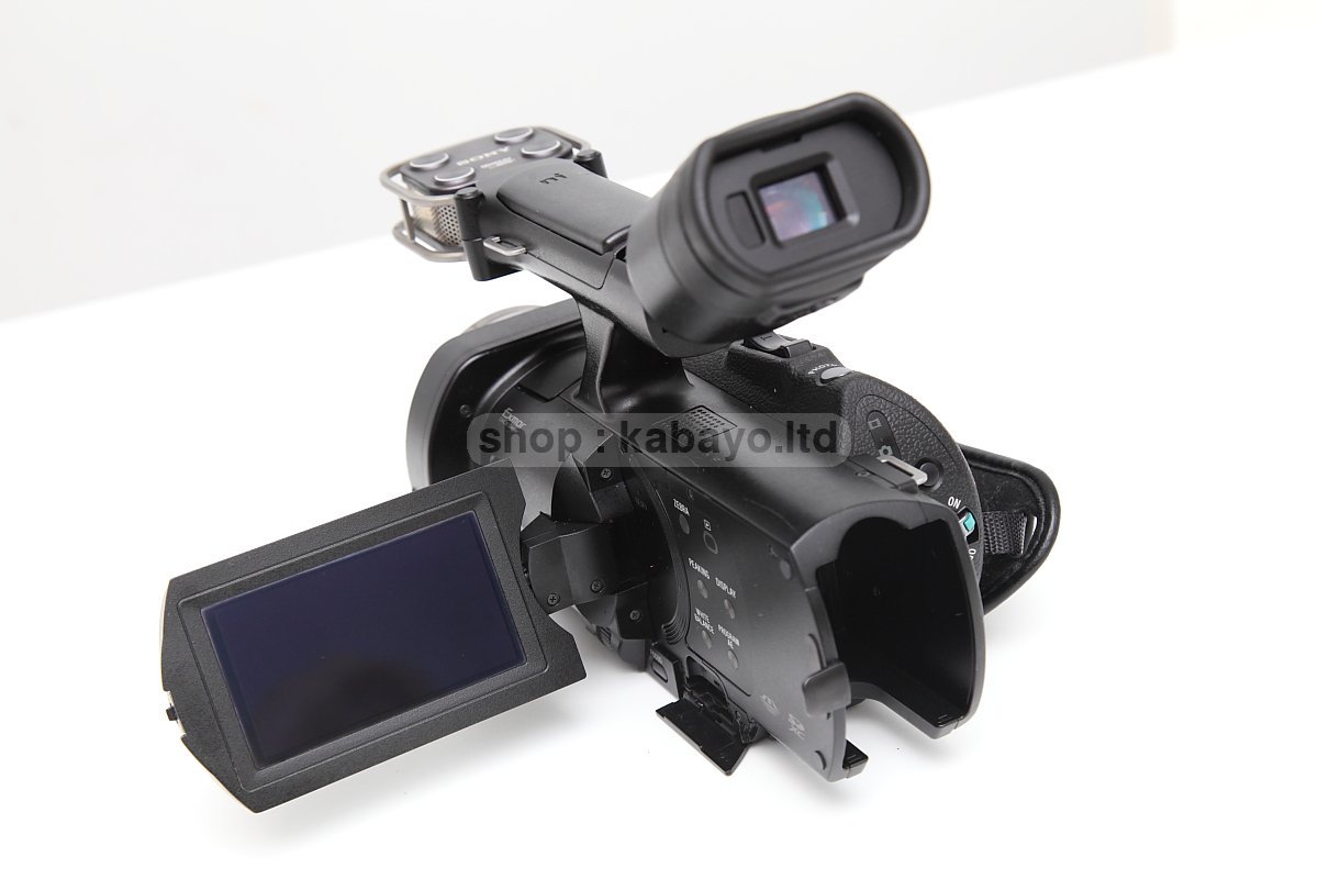 Sony NEX-VG900E + Sony SEL16F28 – photo 31