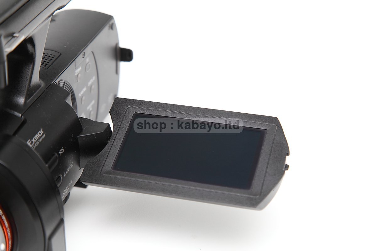 Sony NEX-VG900E + Sony SEL16F28 – photo 32