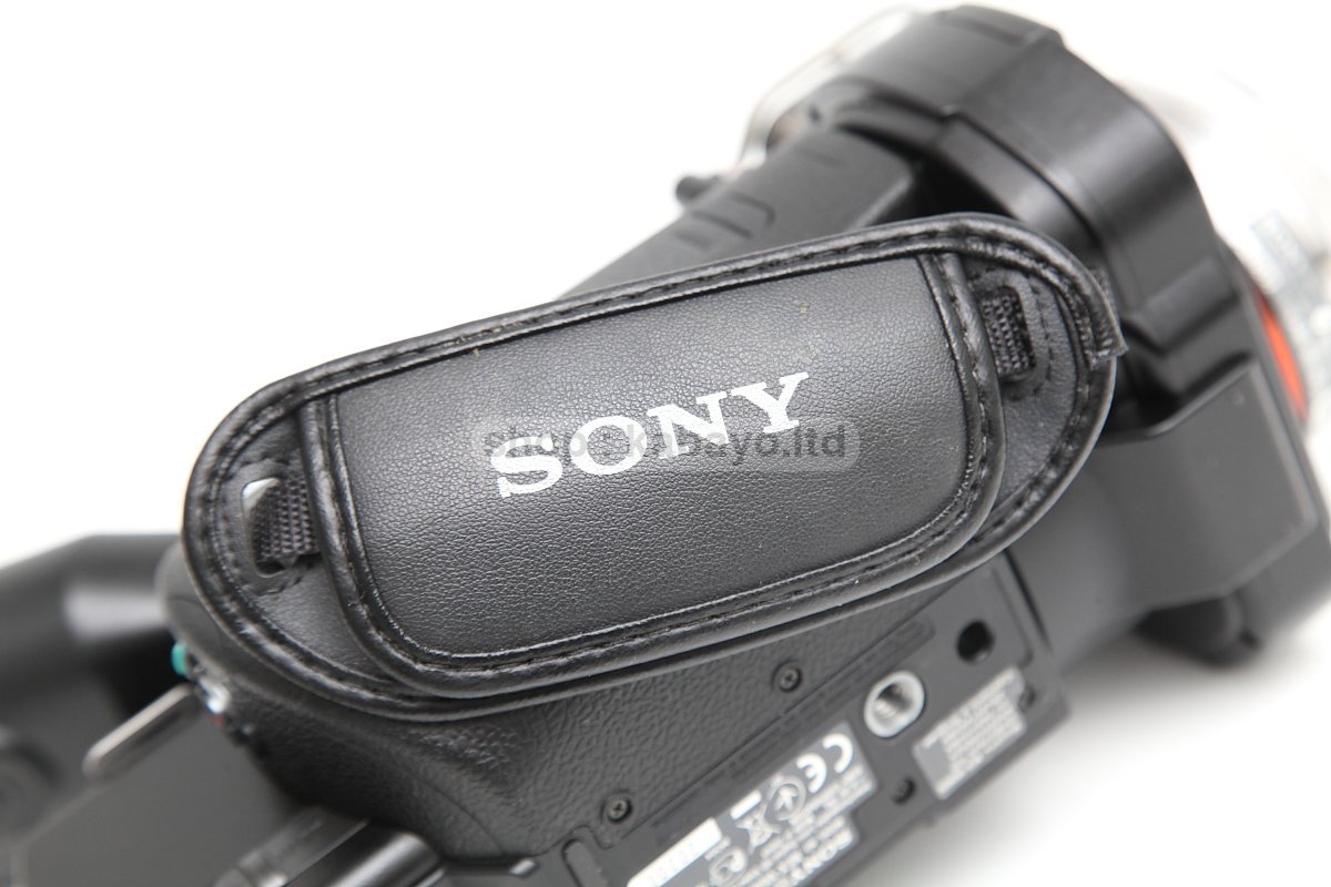 Sony NEX-VG900E + Sony SEL16F28 – photo 40