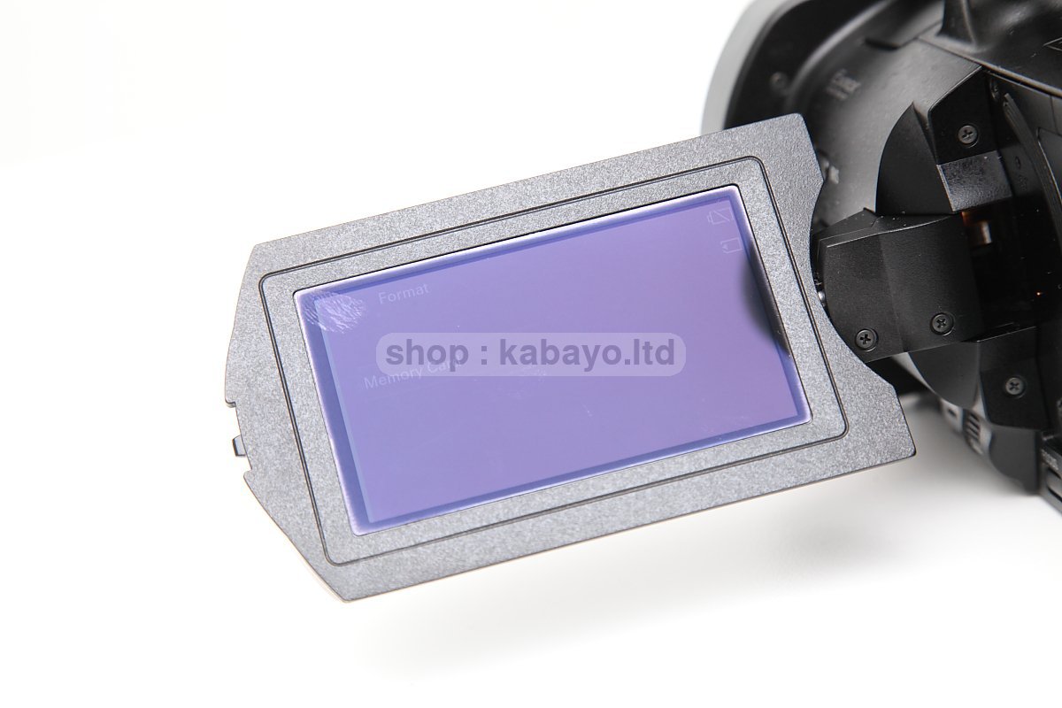 Sony NEX-VG900E + Sony SEL16F28 – photo 45