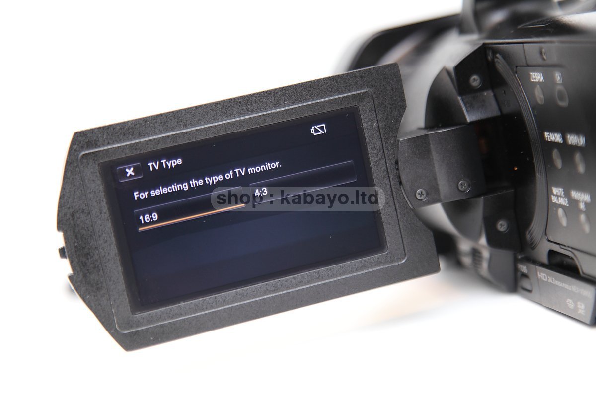 Sony NEX-VG900E + Sony SEL16F28 – photo 47