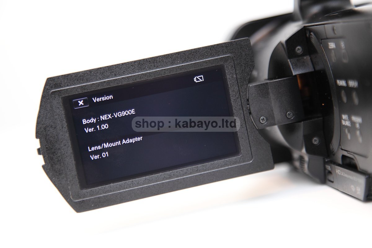 Sony NEX-VG900E + Sony SEL16F28 – photo 52